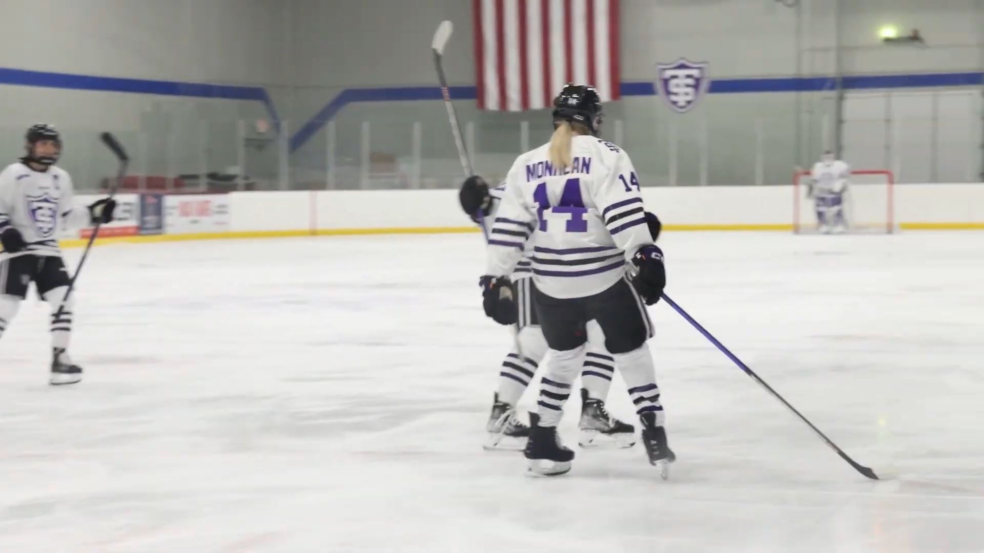 Female hockey players celebrate on the rink after a goal