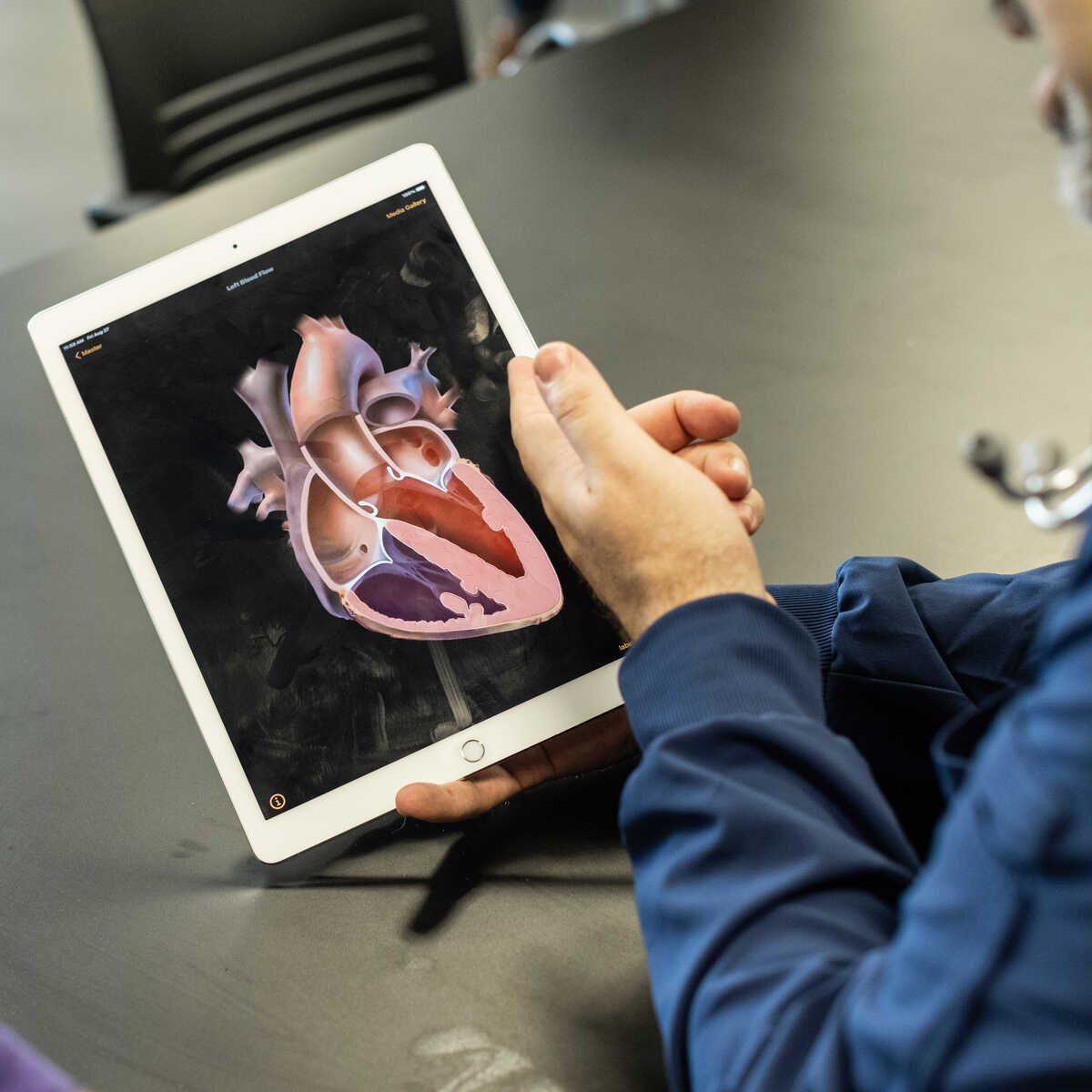 Faculty member and student working with an iPad showing a heart